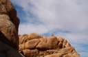 Brooks climbing