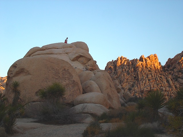 Brooks Climbing