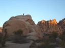 Brooks Climbing
